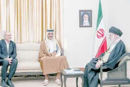دیپلماسی مصالحه
  