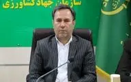 خطر خشکسالی در لرستان؛ ۲۲ هزار هکتار از اراضی کشاورزی در معرض نابودی