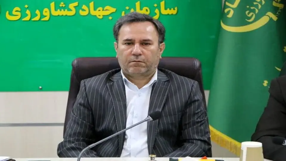 خطر خشکسالی در لرستان؛ ۲۲ هزار هکتار از اراضی کشاورزی در معرض نابودی