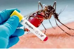 تشخیص ۸۷۵ نفر مبتلا به تب دنگی در کشور

