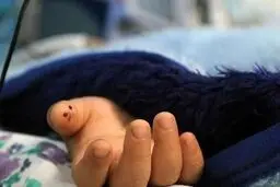مرگ تلخ یک کودک در سطل آب کولر

