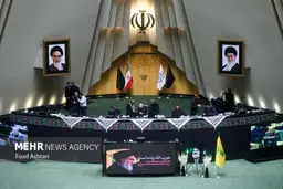 Iran has firmly stood by Palestinian, Lebanese nations: MPs