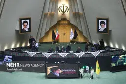 Iran has firmly stood by Palestinian, Lebanese nations: MPs