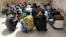 دستگیری ۱۱ هزار خرده فروش مواد مخدر و معتاد