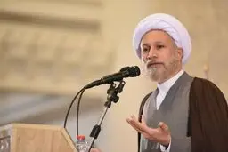 بی‌حجابی، کاملا سیاسی است/  تمامی افرادی که در دام دشمن گرفتار شده بودند به «خفت و خاری» دچار شده‌اند