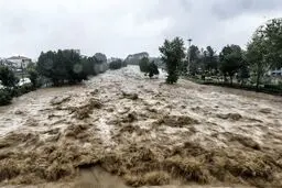 هشدار سیل در ۶  استان/ امروز و فردا بارش باران و وزش باد پیش بینی شد