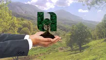 پویش کاشت 72 هزار درخت در یادمان 72 سال خدمت بانک صادرات ایران
