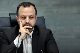 توضیحات وزیر اقتصاد درباره‌ی برکناری سلاح‌ورزی/ من امضا کردم


