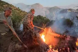 پارک ملی تندروه درگز آتش گرفت 
