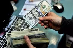 تکذیب توقف پرداخت ارز کالاهای اساسی 