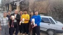مشاهده ۴ فلامینگو در سروآباد کردستان