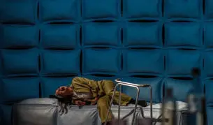 ‎فروش «رامسس دوم» به مرز ۹ میلیارد تومان نزدیک شد

