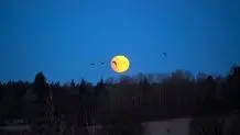 عکس روز ناسا از «سحابی پنجه گربه»

