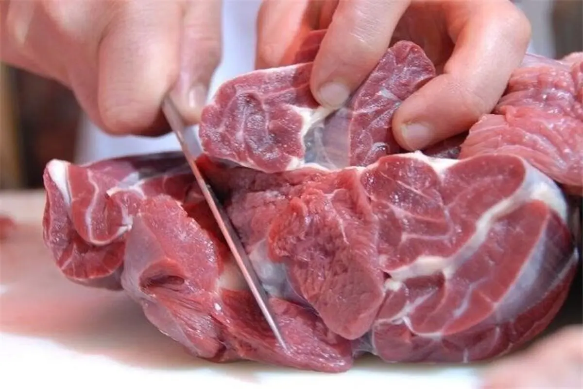 جزئیات واردات گوشت قرمز/ ارز ترجیحی گوشت قرمز حذف شد