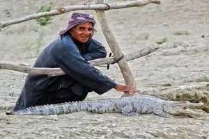 هشدار نسبت به افزایش رفتارهای تهاجمی گاندوها