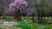 پیش‌بینی هوای همدان؛ چهارشنبه ۶ فروردین ۱۴۰۴