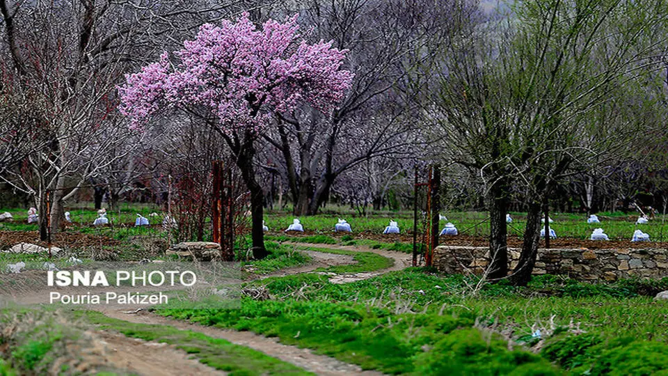 پیش‌بینی هوای همدان؛ چهارشنبه ۶ فروردین ۱۴۰۴