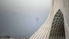آلودگی هوا زیر سایه این ویتامین محو می‌شود!