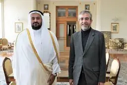 علی باقری: به‌ آتش کشیدن کتاب، فکر و اندیشه، عین توحش است