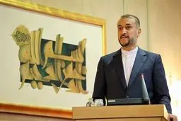أمیر عبداللهیان: أمریکا تفضل أن تکون شریکة بالجریمة