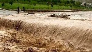 آخرین جزئیات سیل در ویتنام 