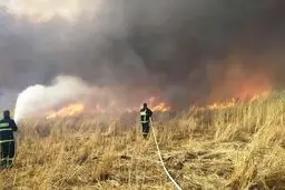 آتش‌سوزی گسترده در تالاب گروس مهاباد مهار شد