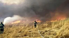آتش‌سوزی گسترده در تالاب گروس مهاباد مهار شد