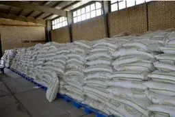 فعالیت گشت‌های ویژه پلیس برای مقابله با احتکار