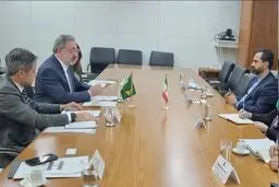 ارتقای مراودات تجاری، موضوع دیدار سفیر ایران با یک مقام برزیلی


