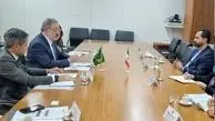 ارتقای مراودات تجاری، موضوع دیدار سفیر ایران با یک مقام برزیلی

