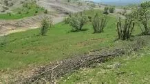 زمین‌خواری یکی از مدیران ارشد استانداری زنجان