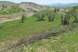 زمین‌خواری یکی از مدیران ارشد استانداری زنجان