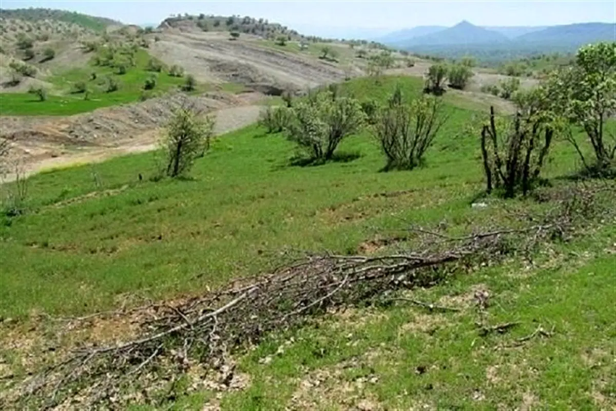 زمین‌خواری یکی از مدیران ارشد استانداری زنجان