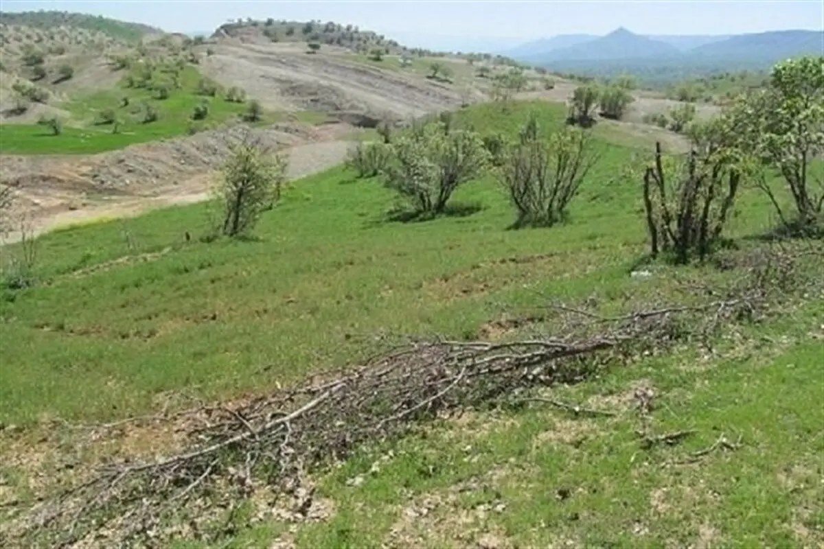 زمین‌خواری یکی از مدیران ارشد استانداری زنجان