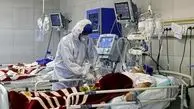 ۲ نفر در فارس به بیماری تب کریمه کنگو مبتلا شدند


