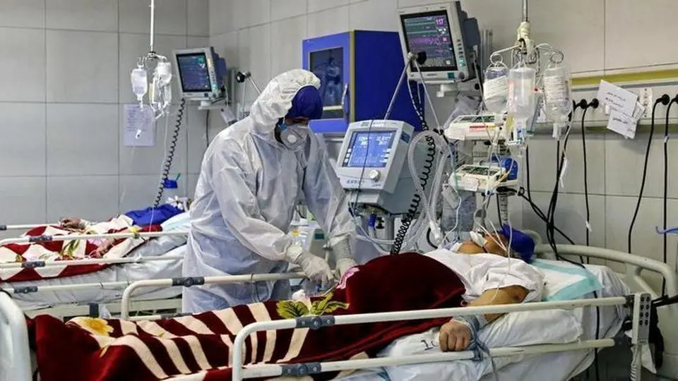 ۲ نفر در فارس به بیماری تب کریمه کنگو مبتلا شدند

