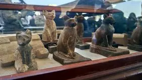 گربه‌های مصری چطور اهلی شدن 