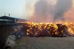 انفجار انبار ضایعات در اصفهان ۵ مصدوم بر جای گذاشت

