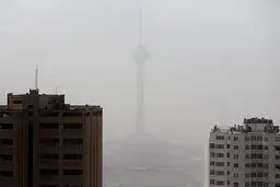 افزایش مراجعه به مراکز درمانی با آلودگی هوا

