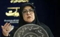 سخنگوی دولت: دولت پشتیبان خانواده جانباختگان معدن طبس است
