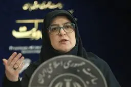 سخنگوی دولت: دولت پشتیبان خانواده جانباختگان معدن طبس است