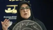 سخنگوی دولت: دولت پشتیبان خانواده جانباختگان معدن طبس است