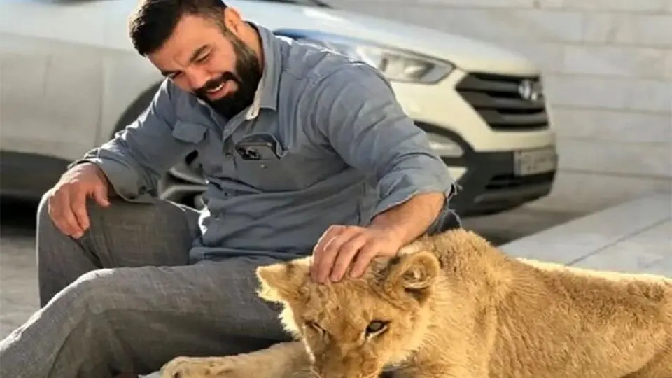 دلیل مرگ شیر باغ وحش ارم مشخص شد/ تشکیل پرونده برای باغ وحش ارم