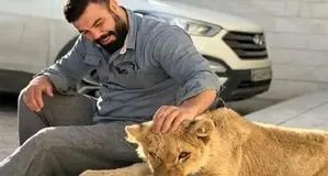 دلیل مرگ شیر باغ وحش ارم مشخص شد/ تشکیل پرونده برای باغ وحش ارم