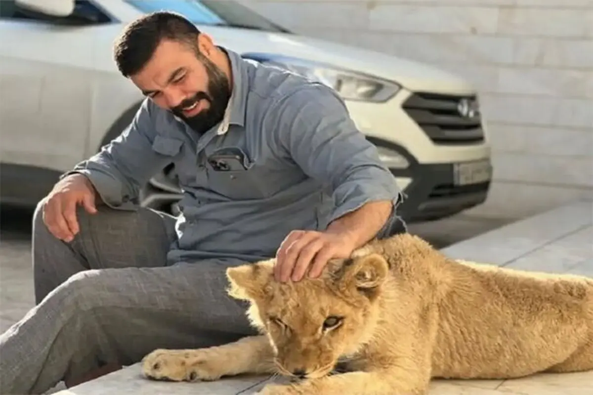 دلیل مرگ شیر باغ وحش ارم مشخص شد/ تشکیل پرونده برای باغ وحش ارم