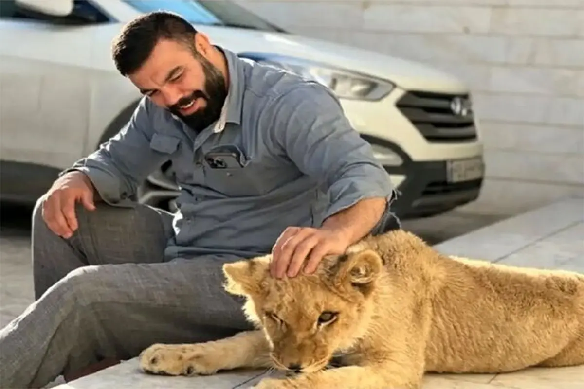 دلیل مرگ شیر باغ وحش ارم مشخص شد/ تشکیل پرونده برای باغ وحش ارم