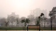 ورود موج جدید گرد و غبار از عراق به ایران؛ هشدار در شرق و غرب