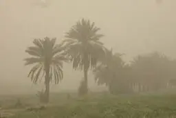 پیش‌بینی هوای خوزستان فردا پنجشنبه 25 اردیبهشت/ افزایش رطوبت و شرجی در خوزستان