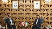 وزیر الاقتصاد الایرانی یؤکد ونظیره الارمینی على رفع التجارة المشترکة الى 3 ملیارات دولار 
