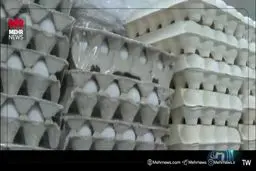 علت گرانی تخم مرغ چه بود؟+ ویدئو